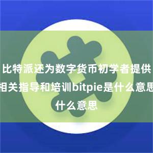 比特派还为数字货币初学者提供相关指导和培训bitpie是什么意思